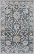 3x5 Ft Blue & Green Serapi Rug - Oriental Wool Rug - Floral Design