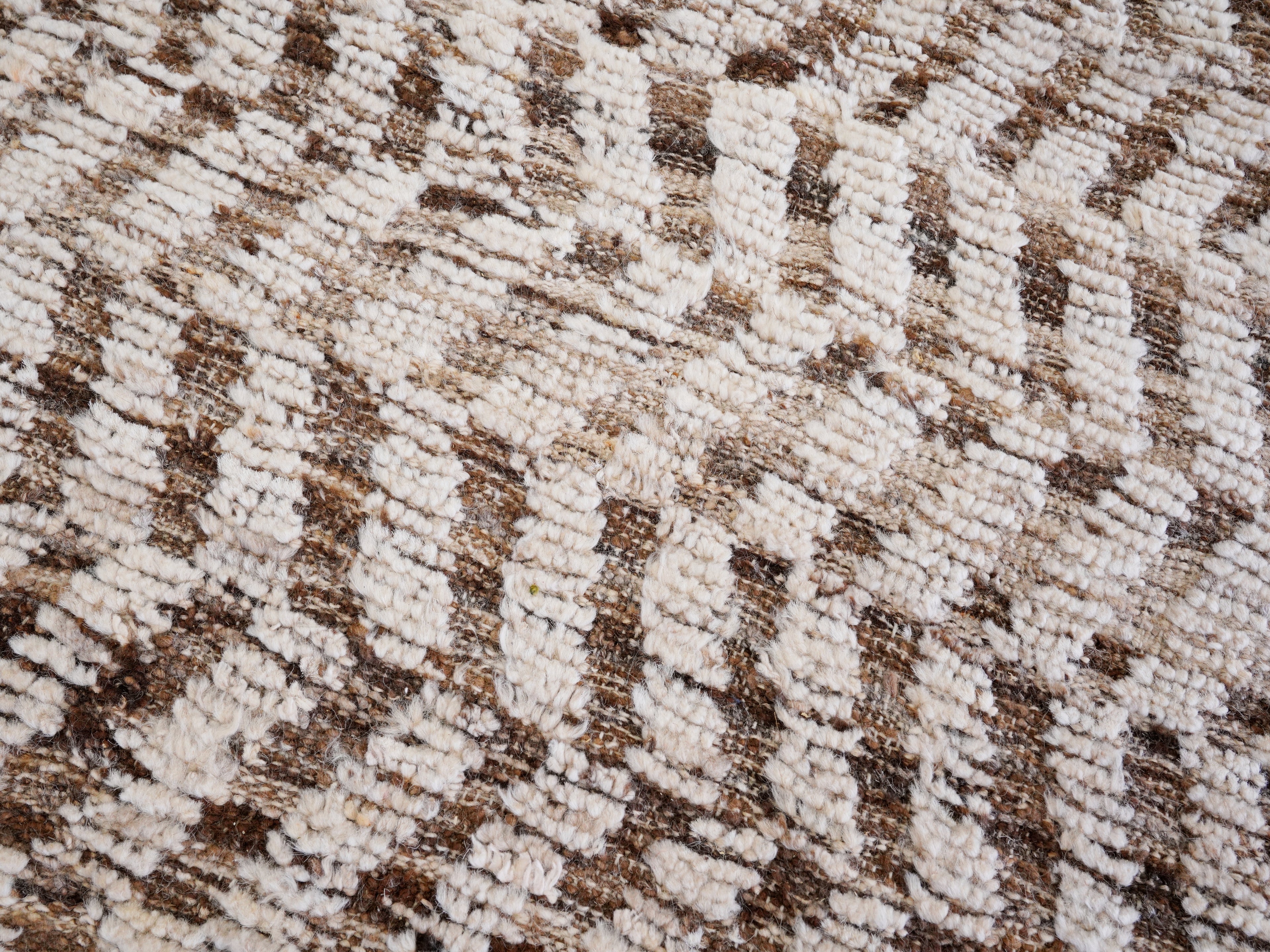 9x12 Ft Beige Moroccan Rug - Hand Knotted Wool Area Rug